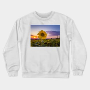 Sunflower against sunset Crewneck Sweatshirt